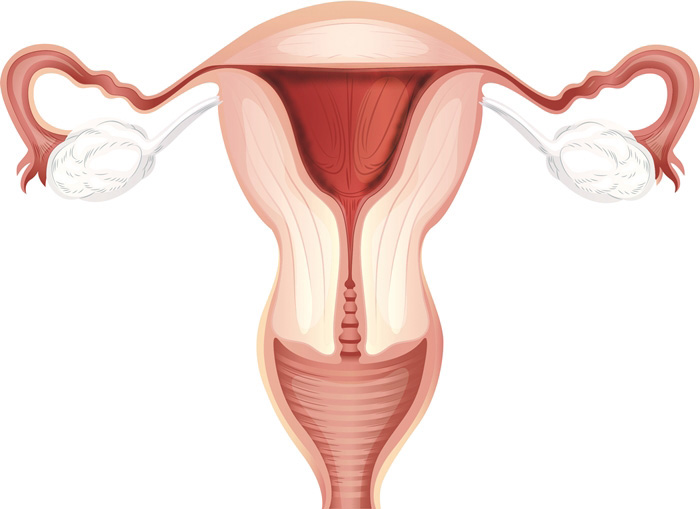 Планирование беременности и хронический эндометрит